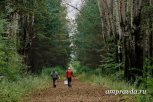 «С собой спички и запасные носки»: правила поведения в лесу