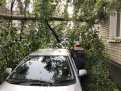 Поваленные деревья и подтопленные больницы: в Благовещенске устраняют последствия циклона