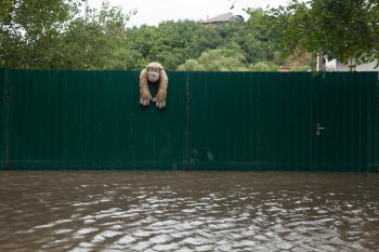 «Вода стоит во дворах с июня»: репортаж из затопленного Верхнеблаговещенского