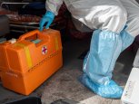 Коэффициент распространения COVID-19 в Свободном вырос почти в шесть раз