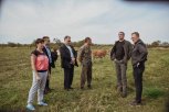 На грант семья из Чесноково построит молочную ферму: в гостях побывал губернатор Василий Орлов