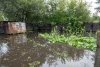 От потерявших урожай из-за дождей благовещенцев принято более ста заявлений