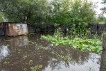От потерявших урожай из-за дождей благовещенцев принято более ста заявлений