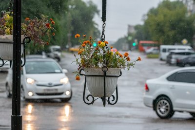 Дождливо и пасмурно: сезон непогоды в Амурской области продолжается