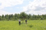 Дальневосточный гектар будут передавать в собственность досрочно