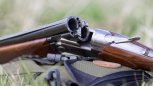 Василий Орлов: «Убийство тигра было преднамеренным: стреляли несколько раз»