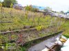 «Вода стоит между грядок»: в Благовещенске обследуют пострадавшие от затопления дворы