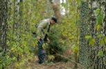 Амурчан учат профессионально искать пропавших людей