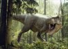 «Парк юрского периода» по-амурски: какие динозавры обитали в Приамурье