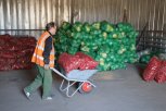 Ждите звонка: пострадавшим от подтопления благовещенцам раздали 10 тонн овощей