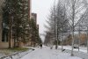 В Магдагачинском районе выпала месячная норма осадков: на север области пришла зима