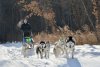 Зима на Амуре: видеоролик о туризме в Приамурье стал лучшим в России