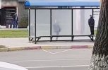 Благовещенские подростки пытались сломать новый остановочный павильон