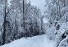 Сильный ветер и снег: в субботу в Амурской области испортится погода