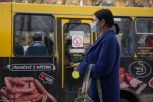 Ищите маску: АП проверила, как благовещенцы соблюдают меры безопасности в магазинах и автобусах