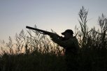 На севере Амурской области браконьеры застрелили изюбря и пытались прикинуться рыбаками