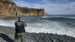 РАН: морские млекопитающие не пострадали от токсичных водорослей на Камчатке