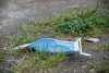 В Амурской области будут активнее наказывать игнорирующих маски