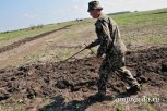 Первая амурская семья получила дальневосточный гектар в собственность