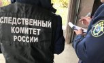 Из-за смерти девочки в Зее на органы опеки завели уголовное дело