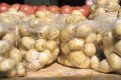 Фермеры, специализирующиеся на выращивании картофеля, признаются: дефицит его на западе влияет и на 