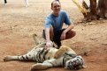 Самое яркое впечатление Алексея от путешествия по Индии — знакомство с ручным тигром.