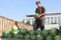 За 5 часов на площади имени Ленина было продано 20 тонн арбузов.