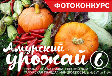 https://ampravda.ru/contests/91-amurskii-urozhai---6