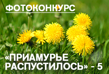 https://ampravda.ru/contests/74-priamure-raspustilos-4