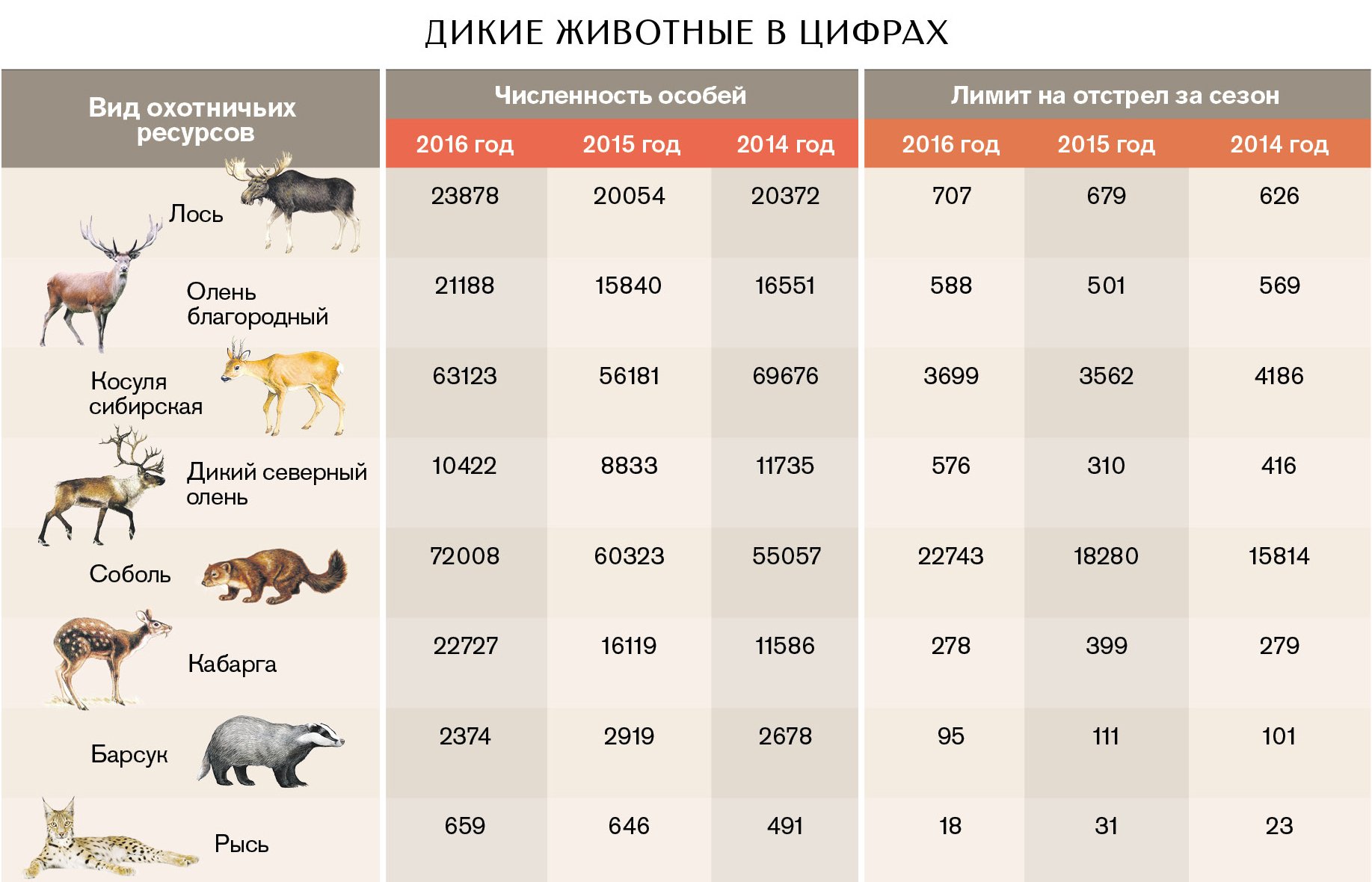 Какие годы какому животному относятся. Численность животных. Таблица вымирания животных. Количество видов животных. Таблица вымерших животных.