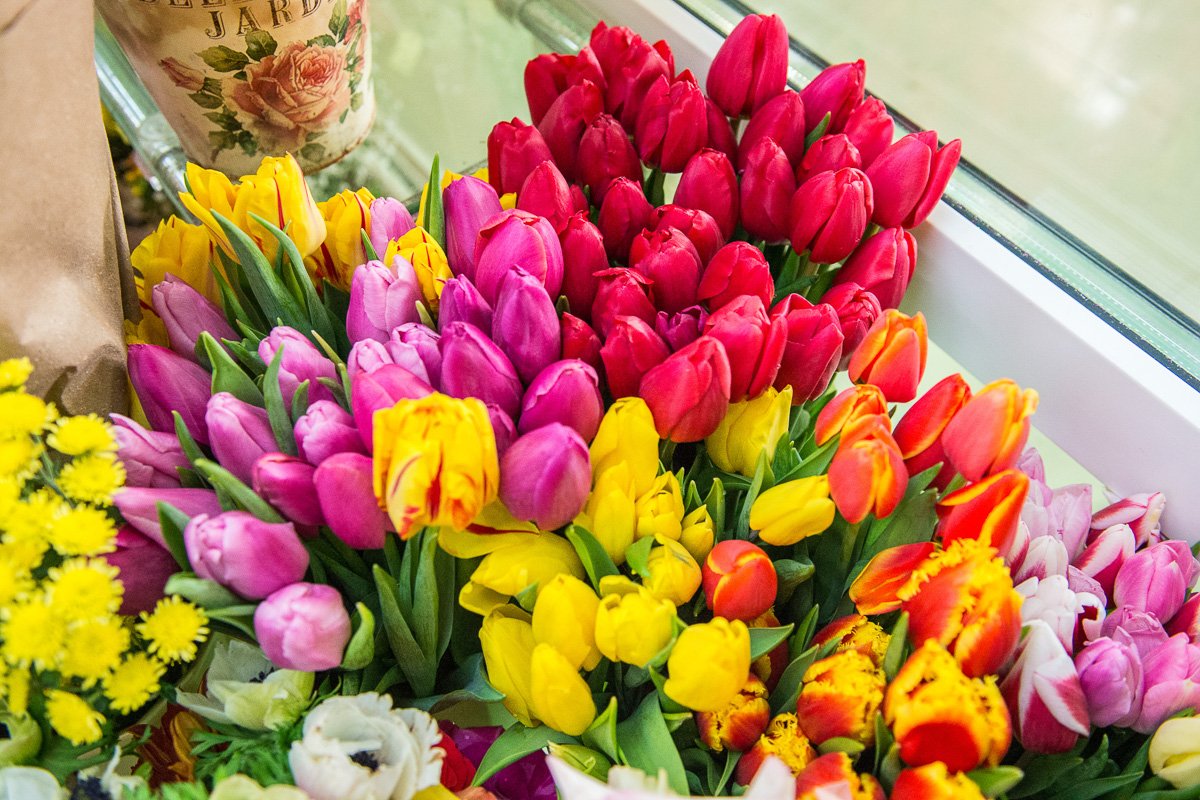 Тюльпаны это символ. Полтавская цветы. Цветы в Полтавской области фото.