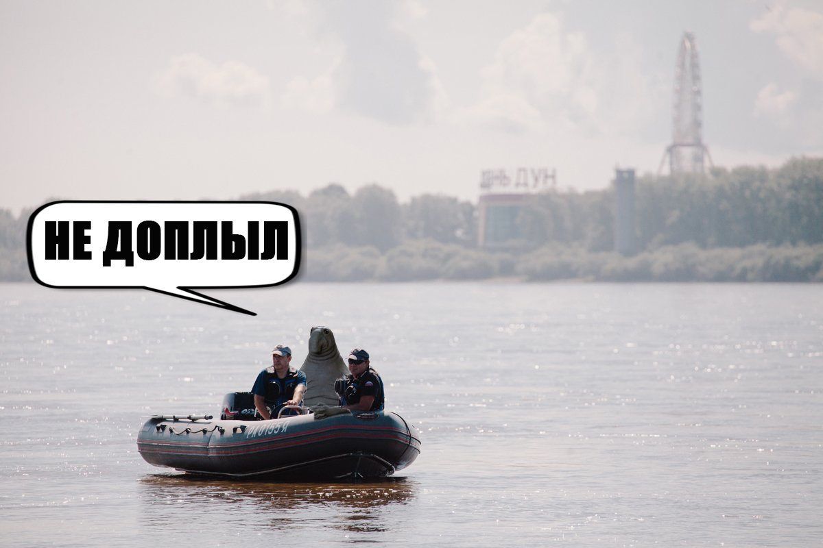 Ждун на рыбалке картинки