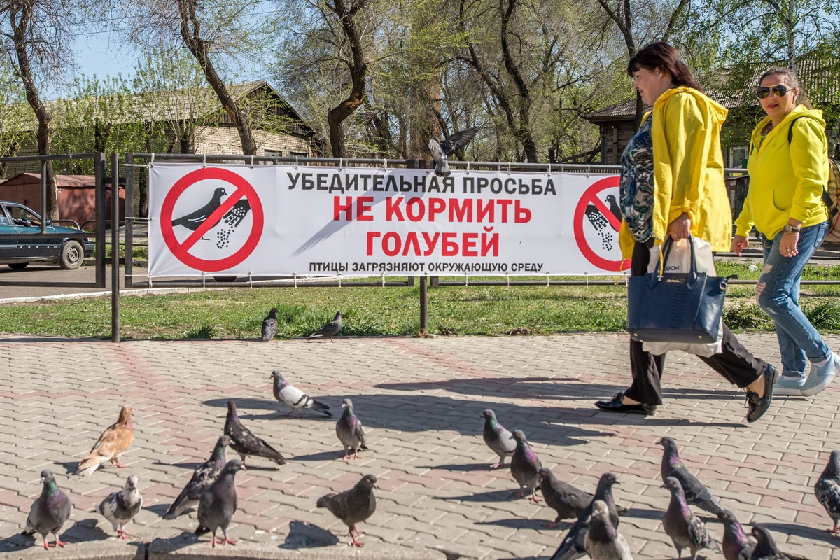 Фото: Архив АП
