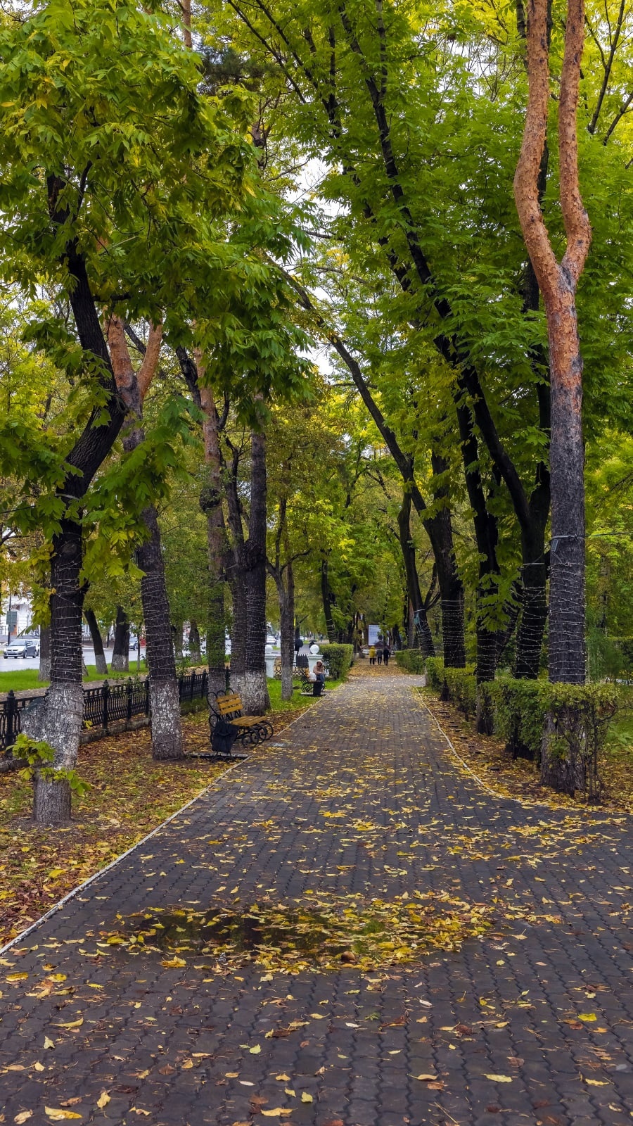 8 способов найти время для себя, морская добыча лисы, и что такое пиперада:  обзор АП — Амурская правда, новости Благовещенска и Амурской области