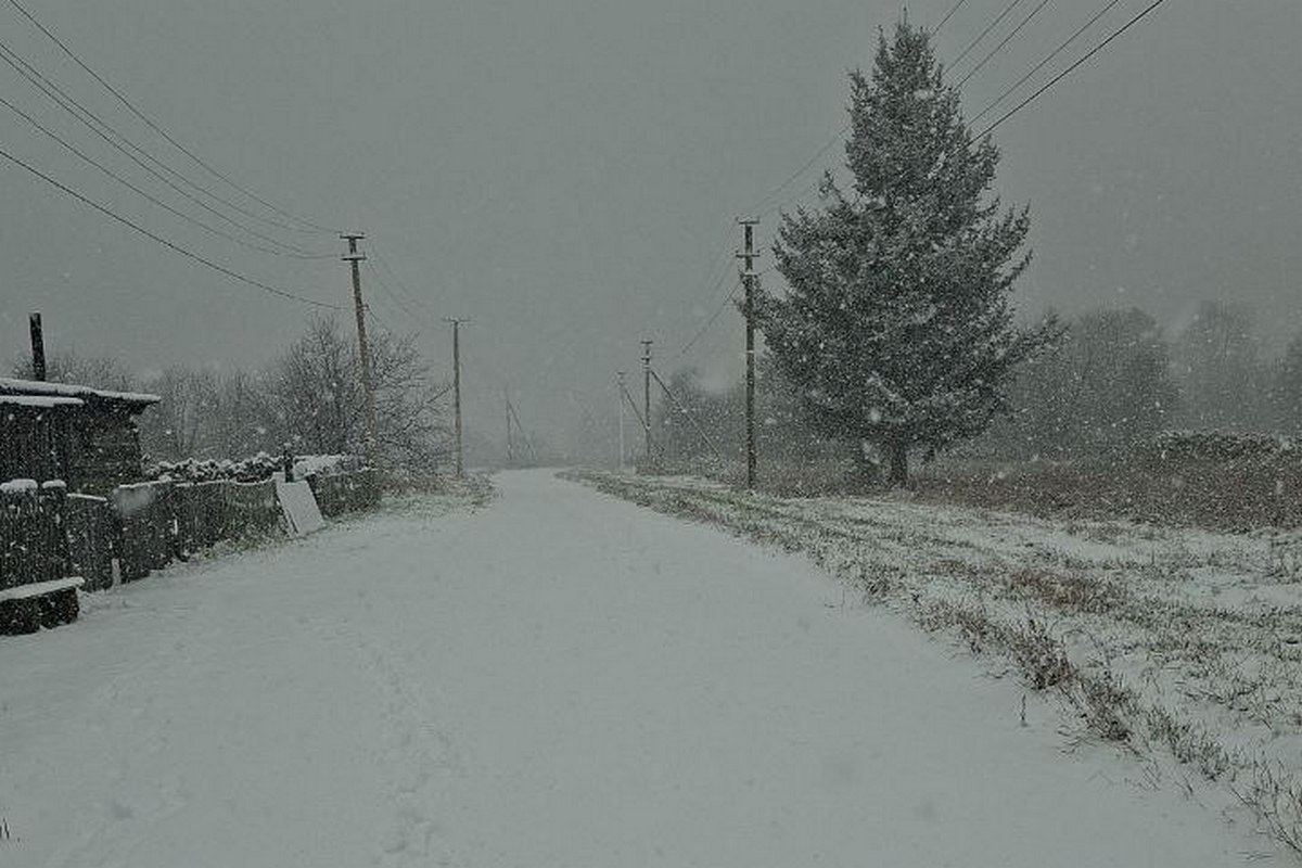 Фото: Дарья Аксёнова