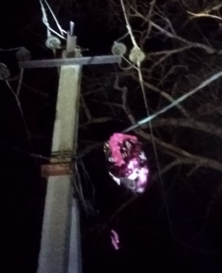 Фото: телеграм-аккаунт филиала АО «ДРСК» «Амурские электрические сети»