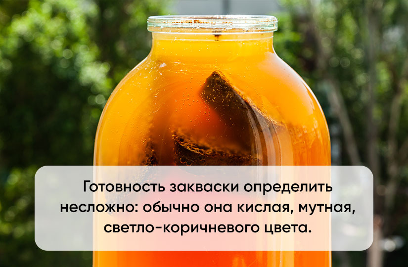 Как сделать квас резким и шипучим в домашних условиях. Смотреть фото Как сделать квас резким и шипучим в домашних условиях. Смотреть картинку Как сделать квас резким и шипучим в домашних условиях. Картинка про Как сделать квас резким и шипучим в домашних условиях. Фото Как сделать квас резким и шипучим в домашних условиях