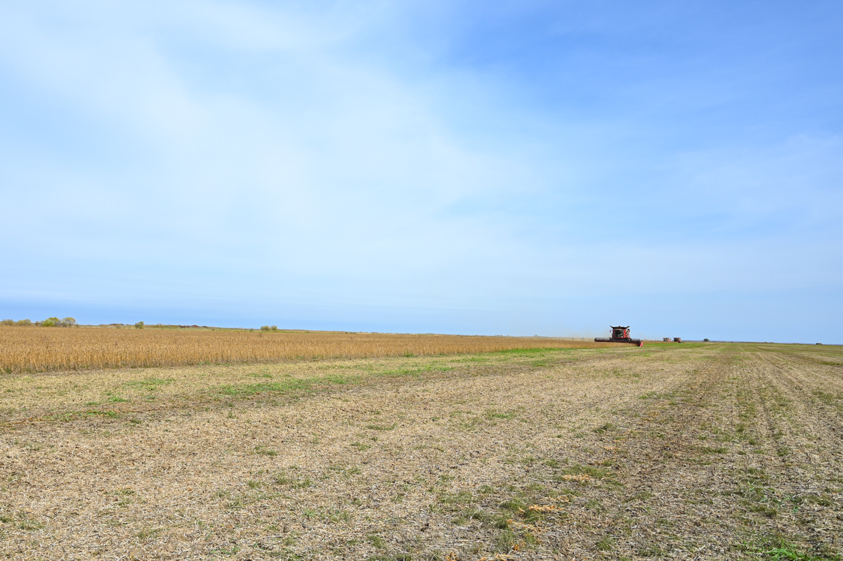 Фото: Архив АП