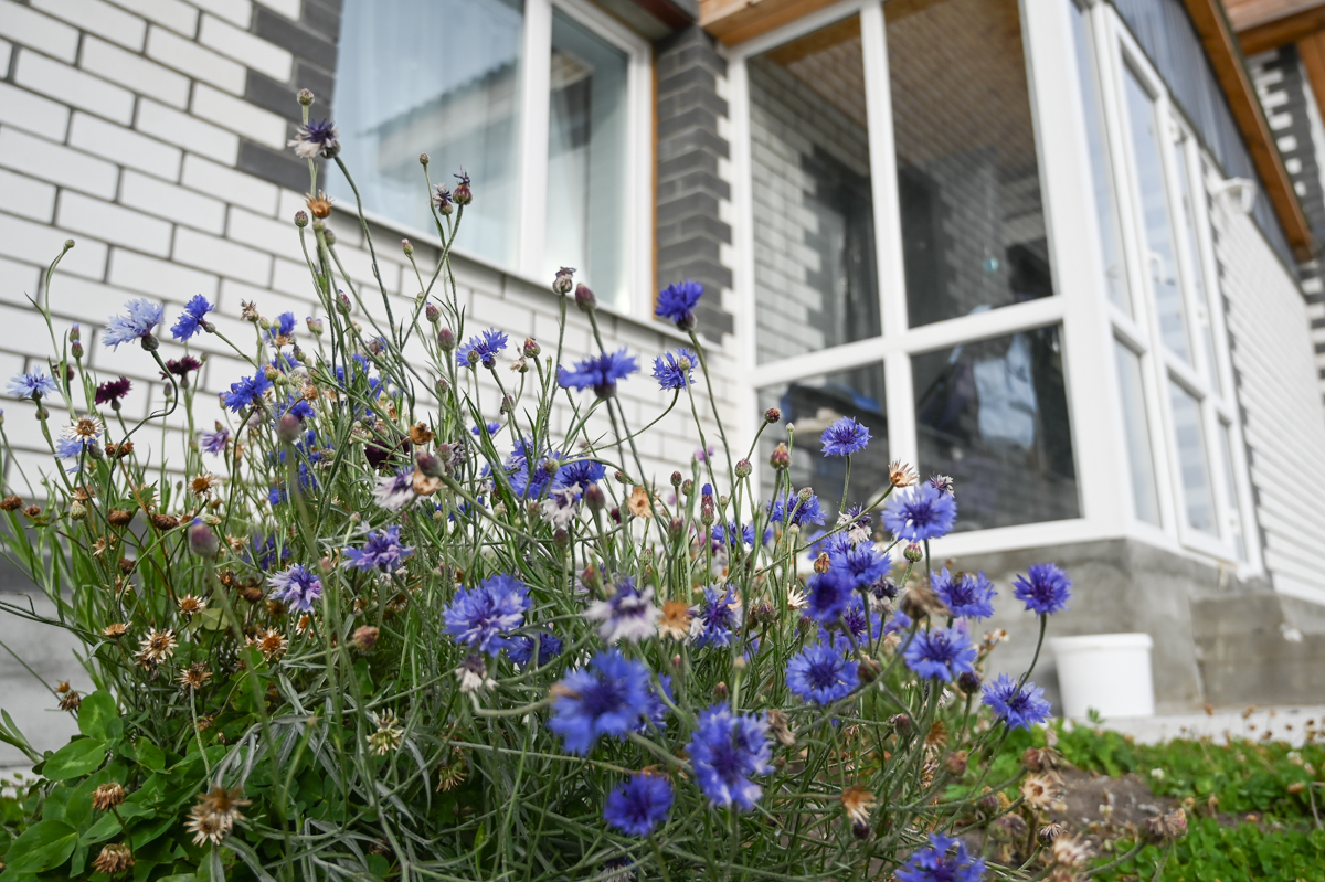 Фото: Алексей Сухушин