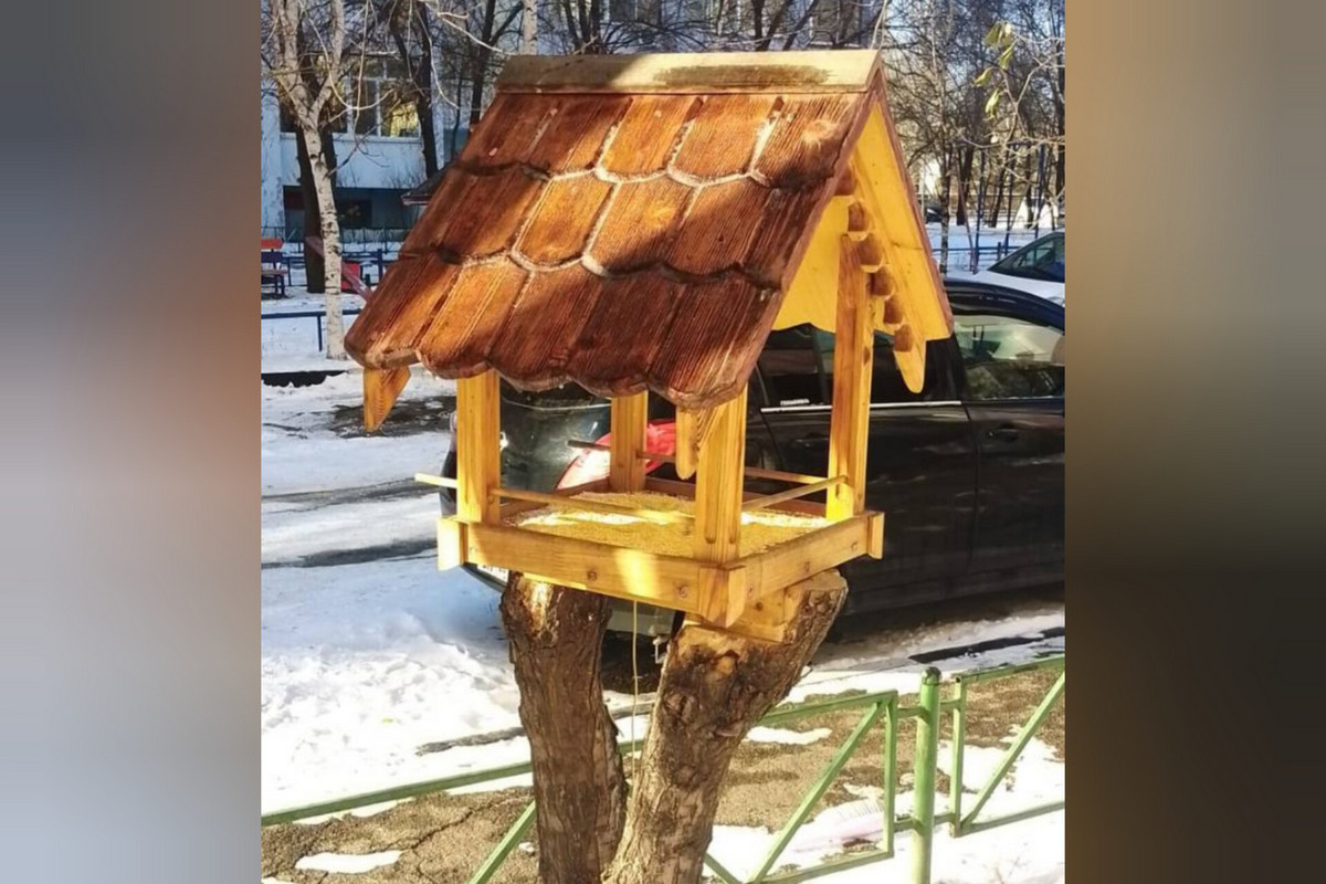 Фото: amurobl.ru