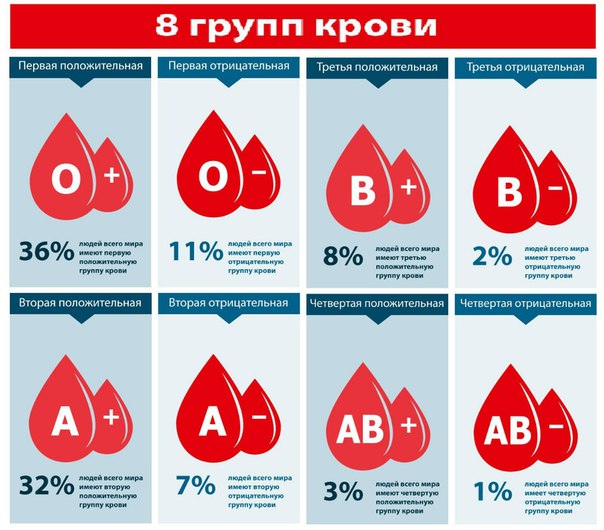 Группа Крови Человека Реферат Группа Крови Человека Реферат