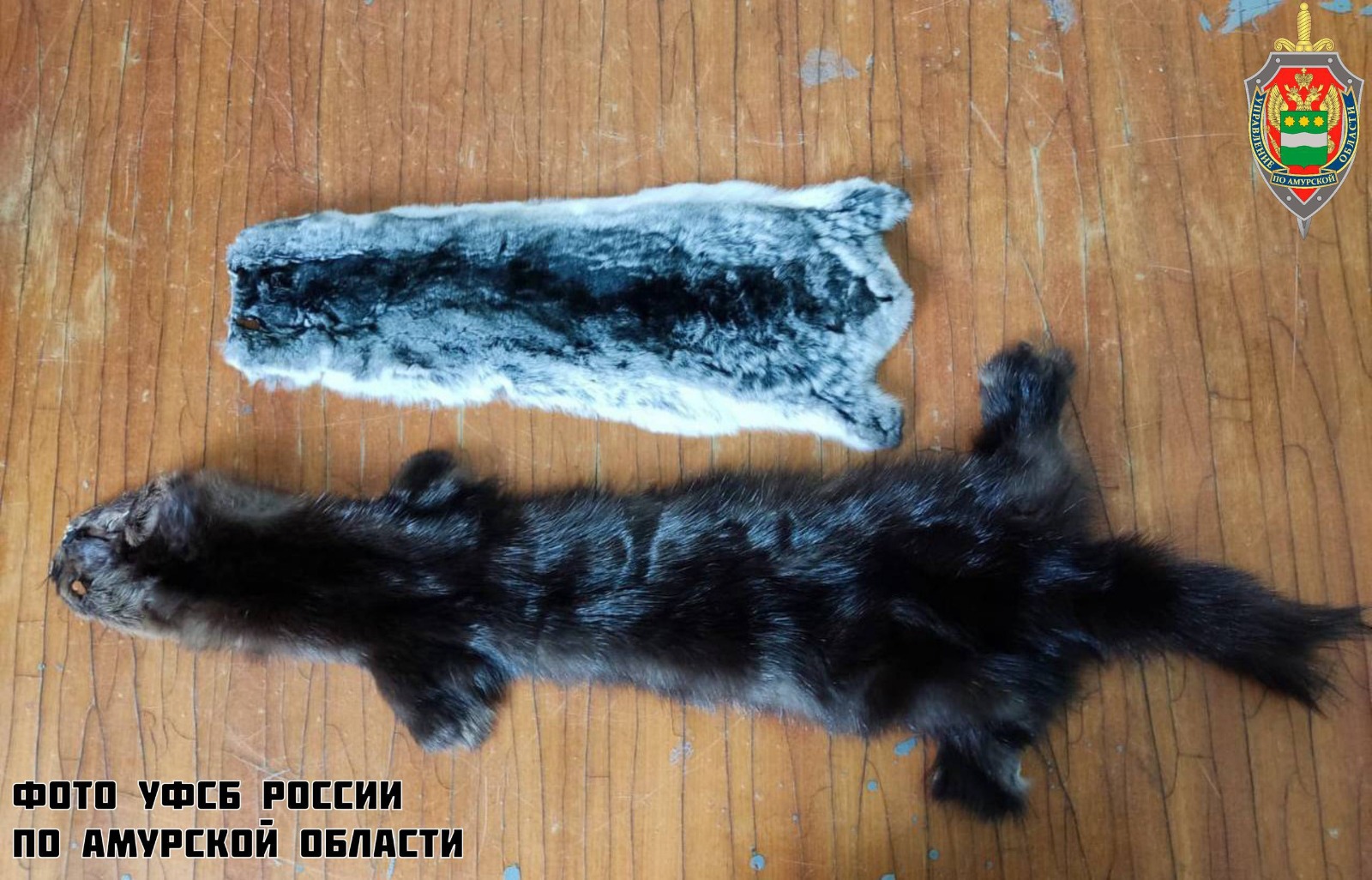 Фото: УФСБ России по амурской области