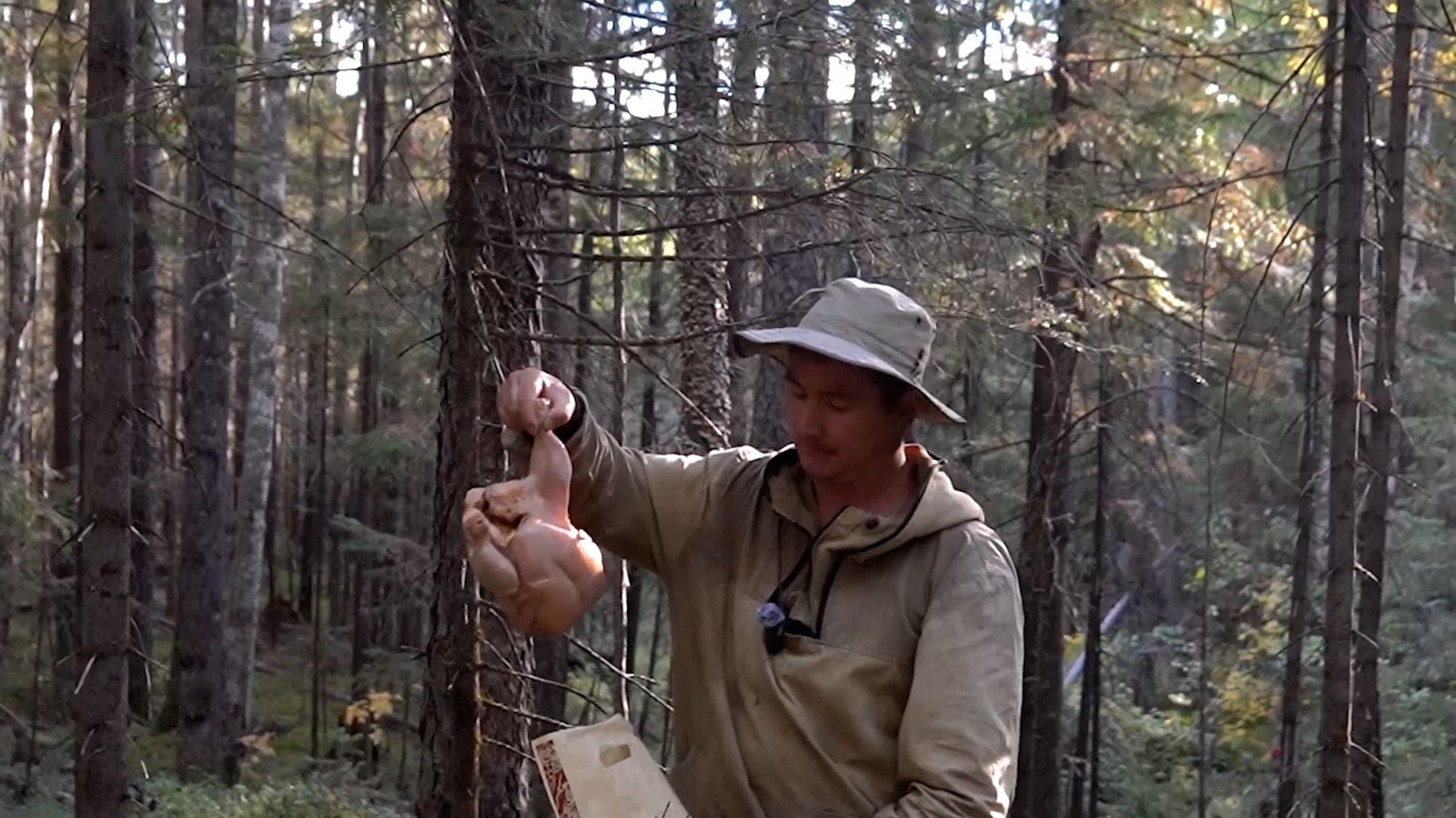 Вместо дикой птицы — пойманная в рюкзаке курица. Фото: Скриншот видео Ильи Тяна