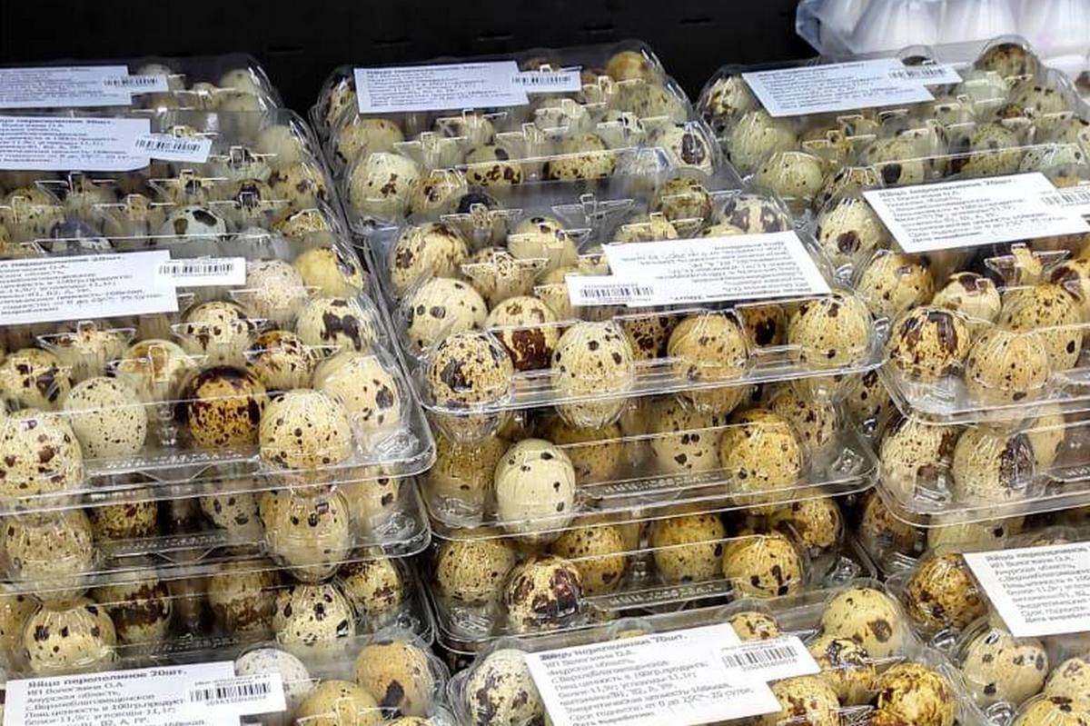 Фото: amurobl.ru