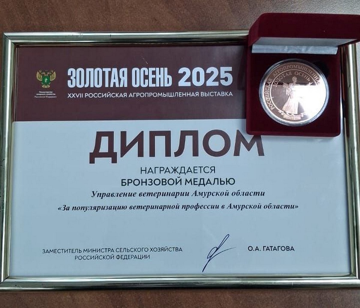 Фото: amurobl.ru