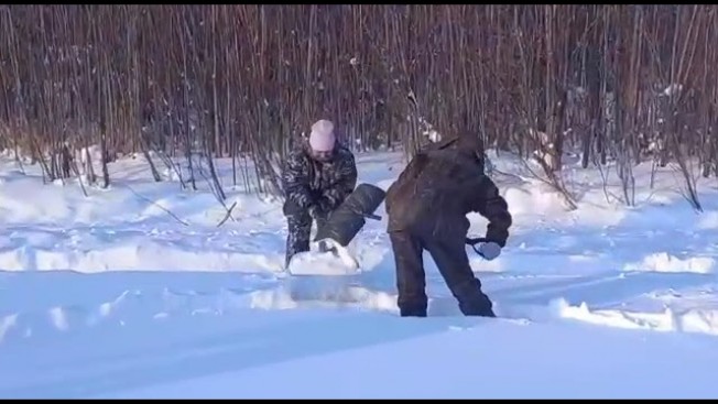 Новогоднюю открытку жители Стойбы делали по эскизу четвероклассницы