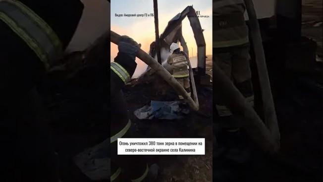 В Приамурье на окраине села в Михайловском районе сгорел склад и около 380 тонн зерна