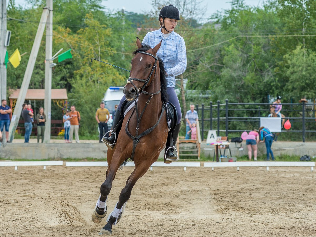 Смешались в кучу кони, люди: фоторепортаж с конноспортивных соревнований