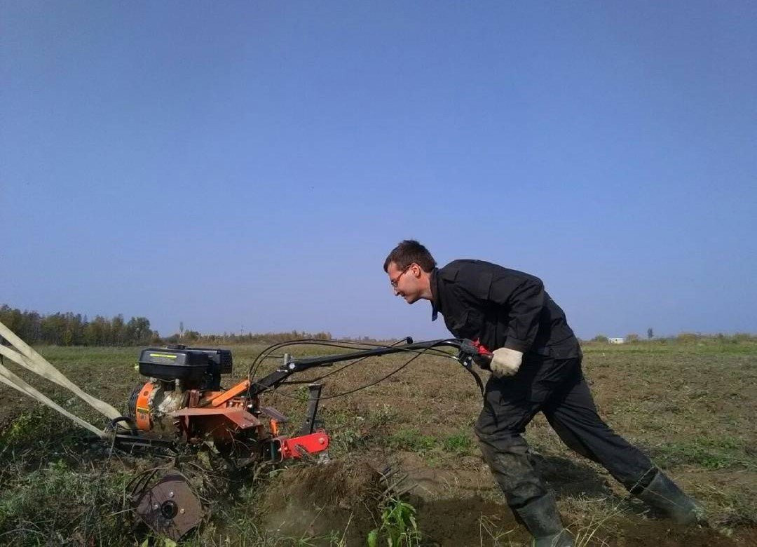 Кот-олень, йога на сене и облачный вихрь: инстаобзор АП