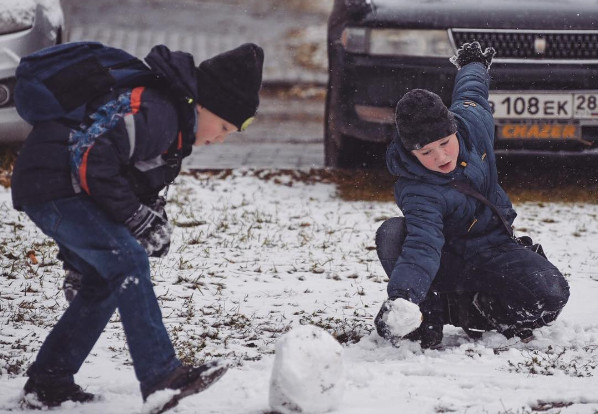 Последняя бабочка и первый лед на Амуре: инстаобзор АП